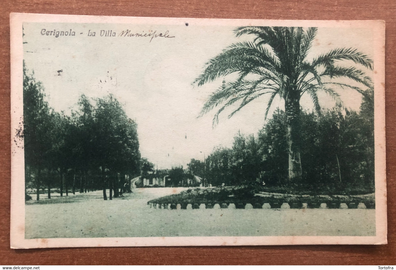 CERIGNOLA ( FOGGIA ) LA VILLA 1918 - Cerignola