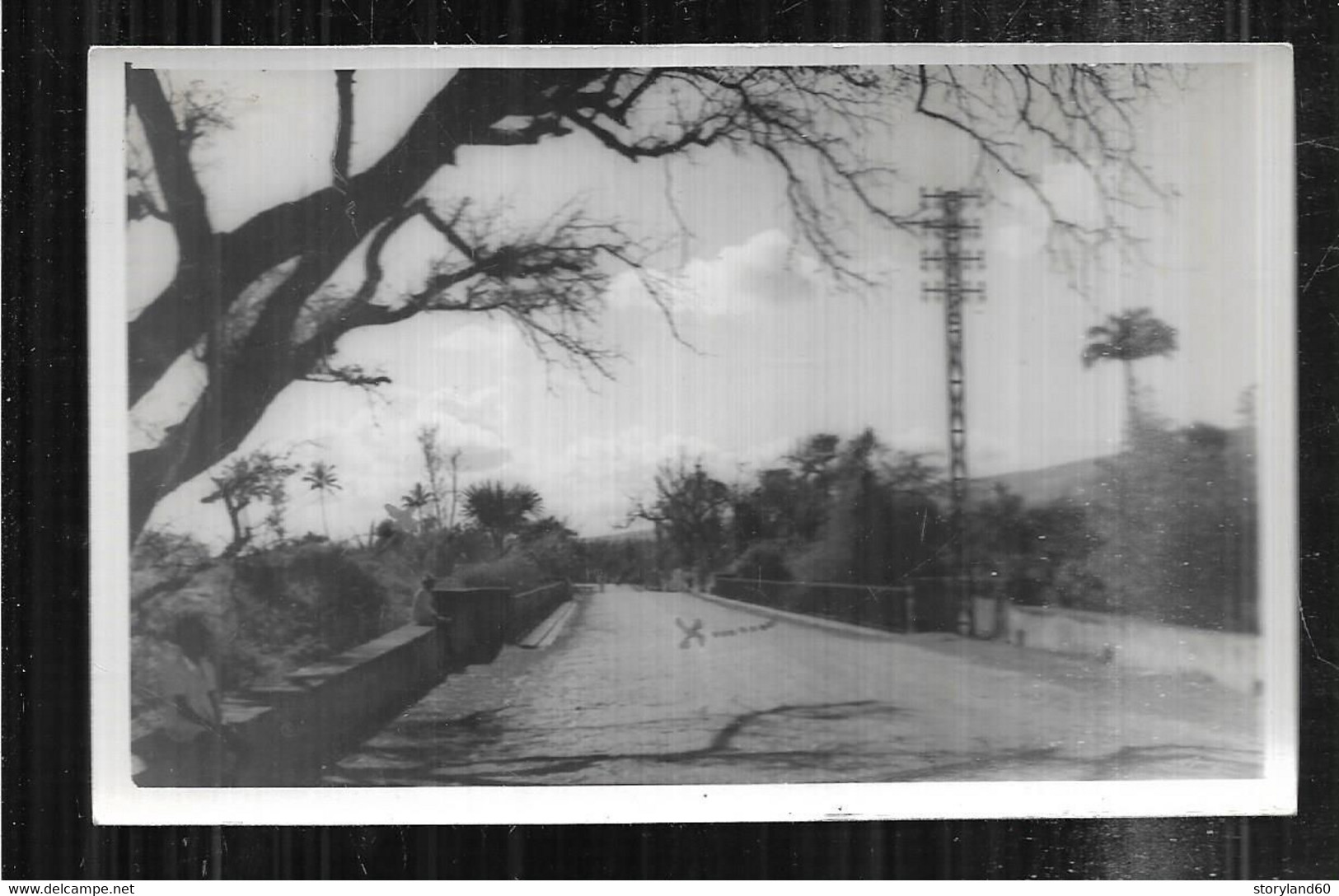 St005793 La Réunion 1952 ? Propriété , Pont Très Légendée - Autres & Non Classés