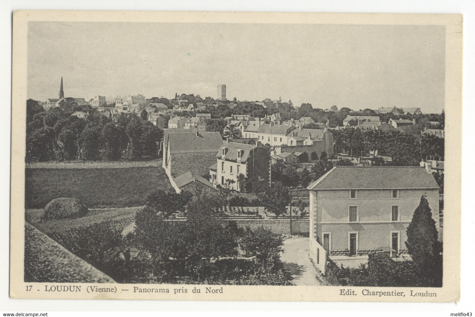 86/ CPA - Loudun - Panorama Pris Du Nord - Loudun