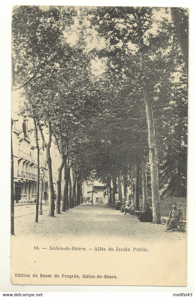 64/ CPA 1900 - Salies De Bearn - Allée Du Jardin Public - Salies De Bearn