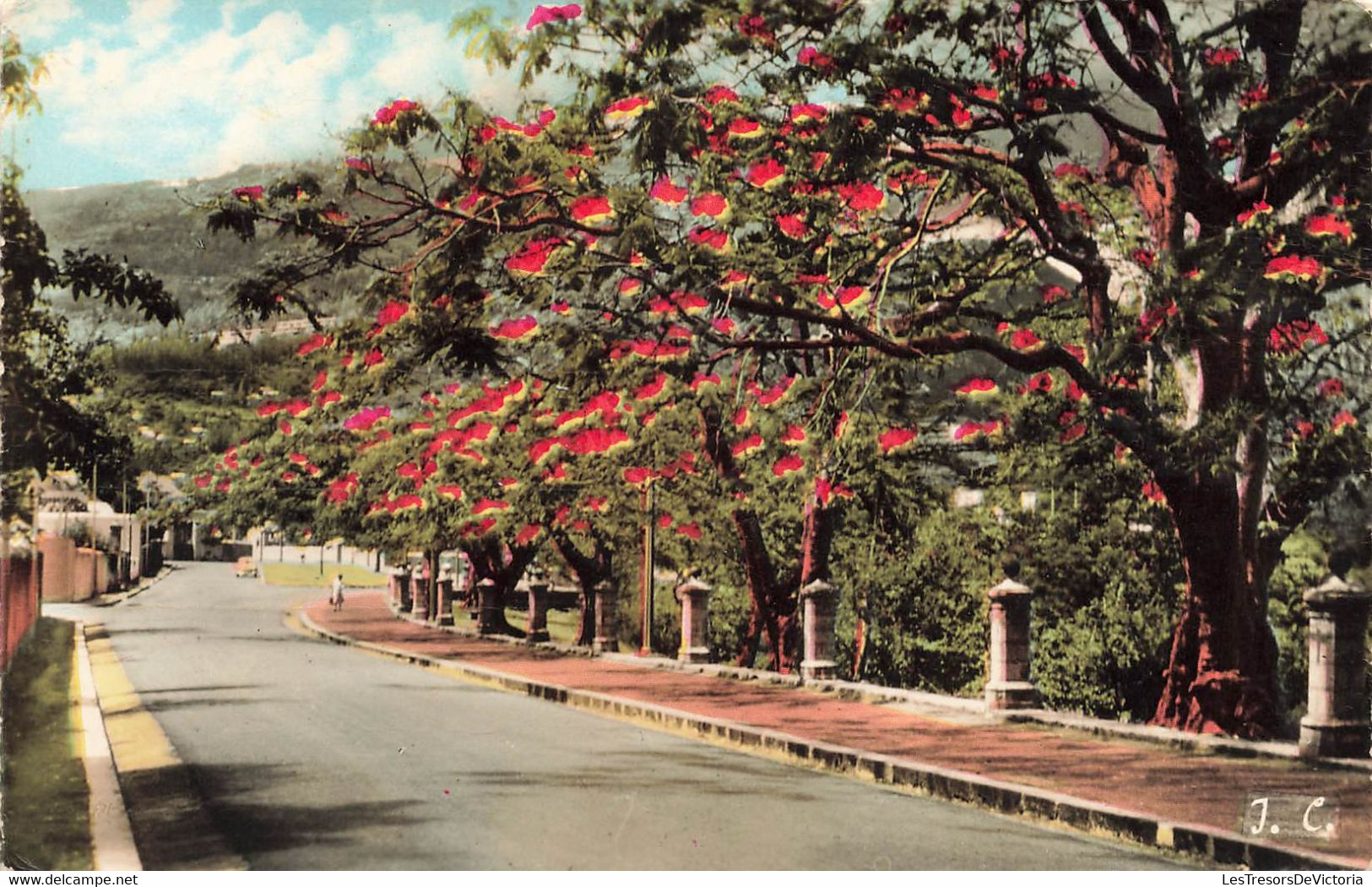 CP La Réunion - Boulevard Lacaussade - Ile De Le Reunion - Photo J Colbe - - Saint Denis