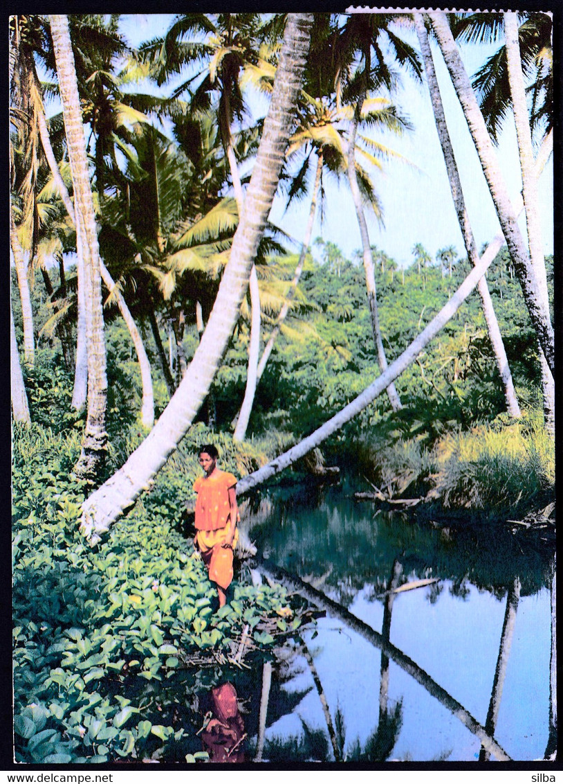 Ivory Coast, Cote D'Ivore 1970 / Region Ouvest, Paysage Typique De La Cote, Typical Landscape Of The Coast - Côte-d'Ivoire