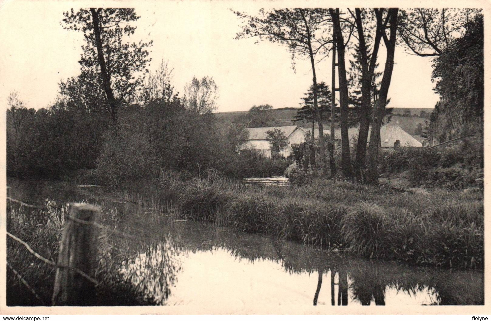 Cerfontaine - Le Moulin Et L'étang - Belgique Belgium - Cerfontaine