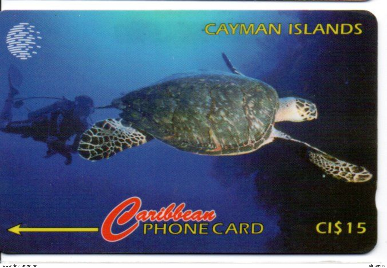 Tortue Tortoise Turtle Cayman Télécarte Islande  Phonecard  Telefonkarte (W 552) - Islandia