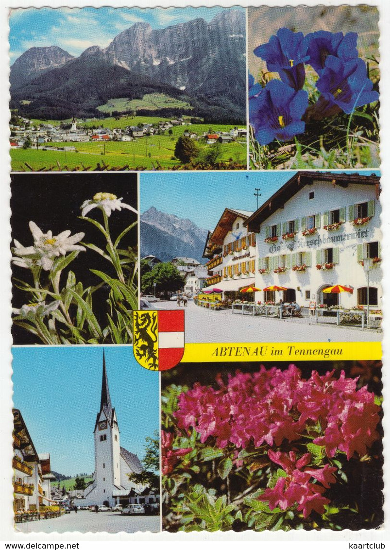 Sommerfrische Abtenau Im Lammertal - (Österreich/Austria) - 1973 - U.a. Edelweiss - Abtenau