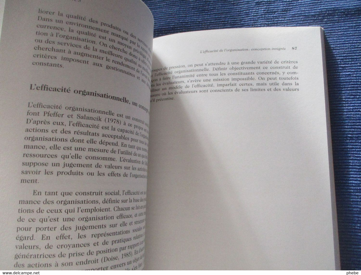 Morin Savoie Beaulin / L'efficacité De L'organisation - Sociologie