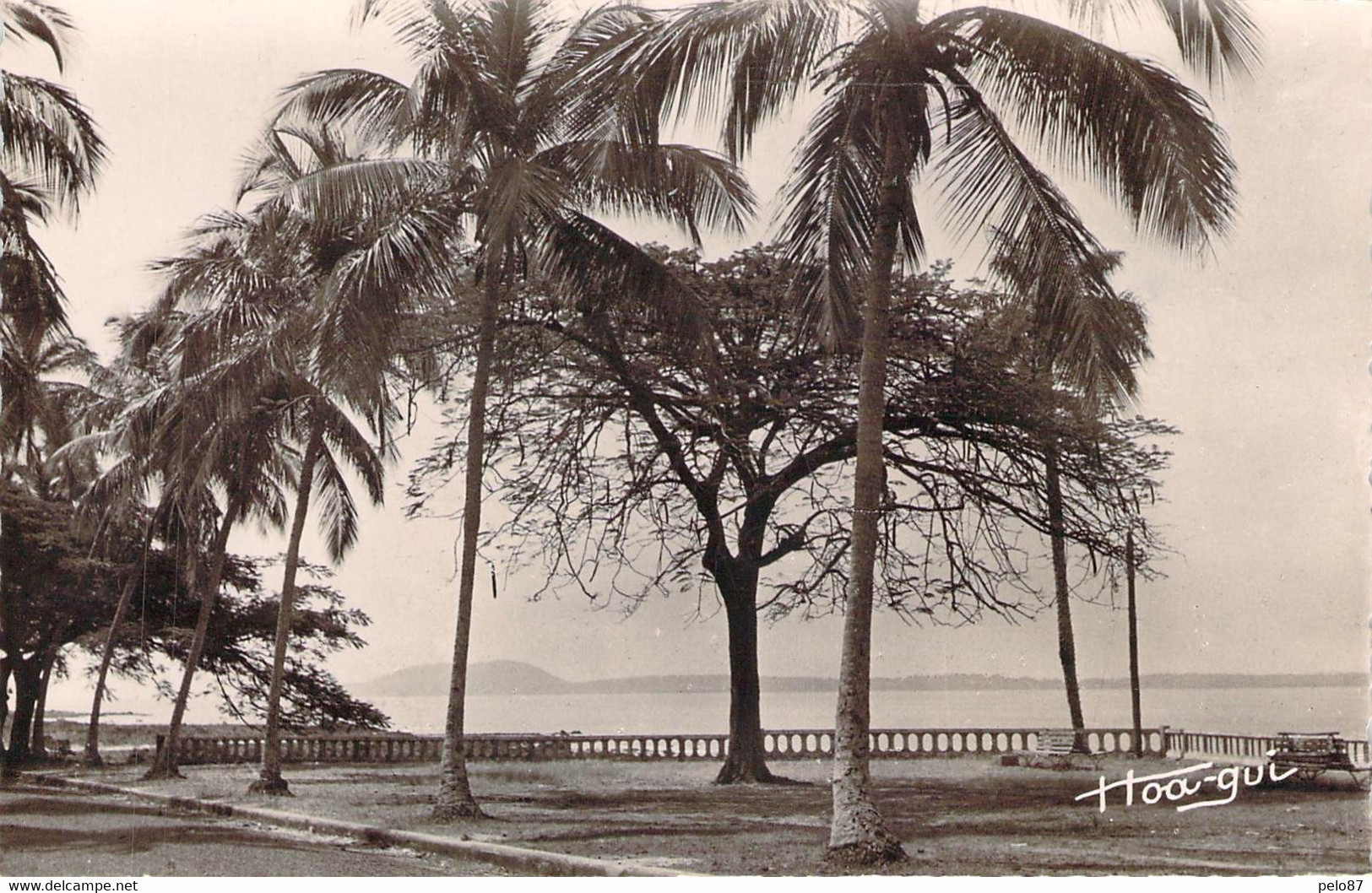 Afrique  Cpsm  Guinée Conakry La Corniche Et L'île De Kassa   F1865 - Guinée Française