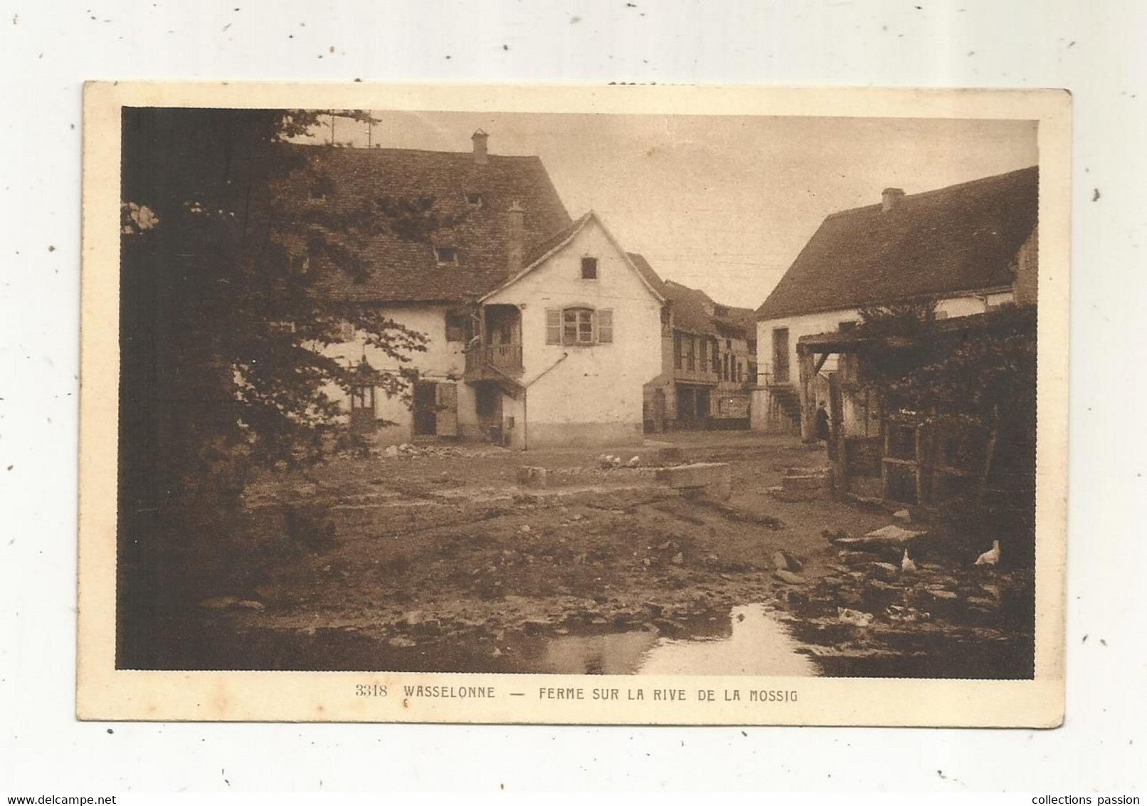 Cp,67 , WASSELONNE, Ferme Sur La Rive De La MOSSIG ,agriculture, Collection L'Alsace, Voyagée 1945 - Wasselonne