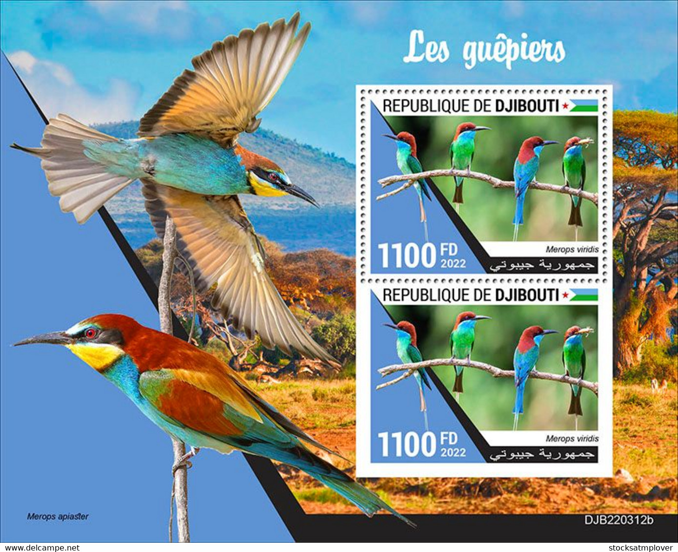Djibouti  2022 Birds Bee-eaters S202210 - Djibouti (1977-...)