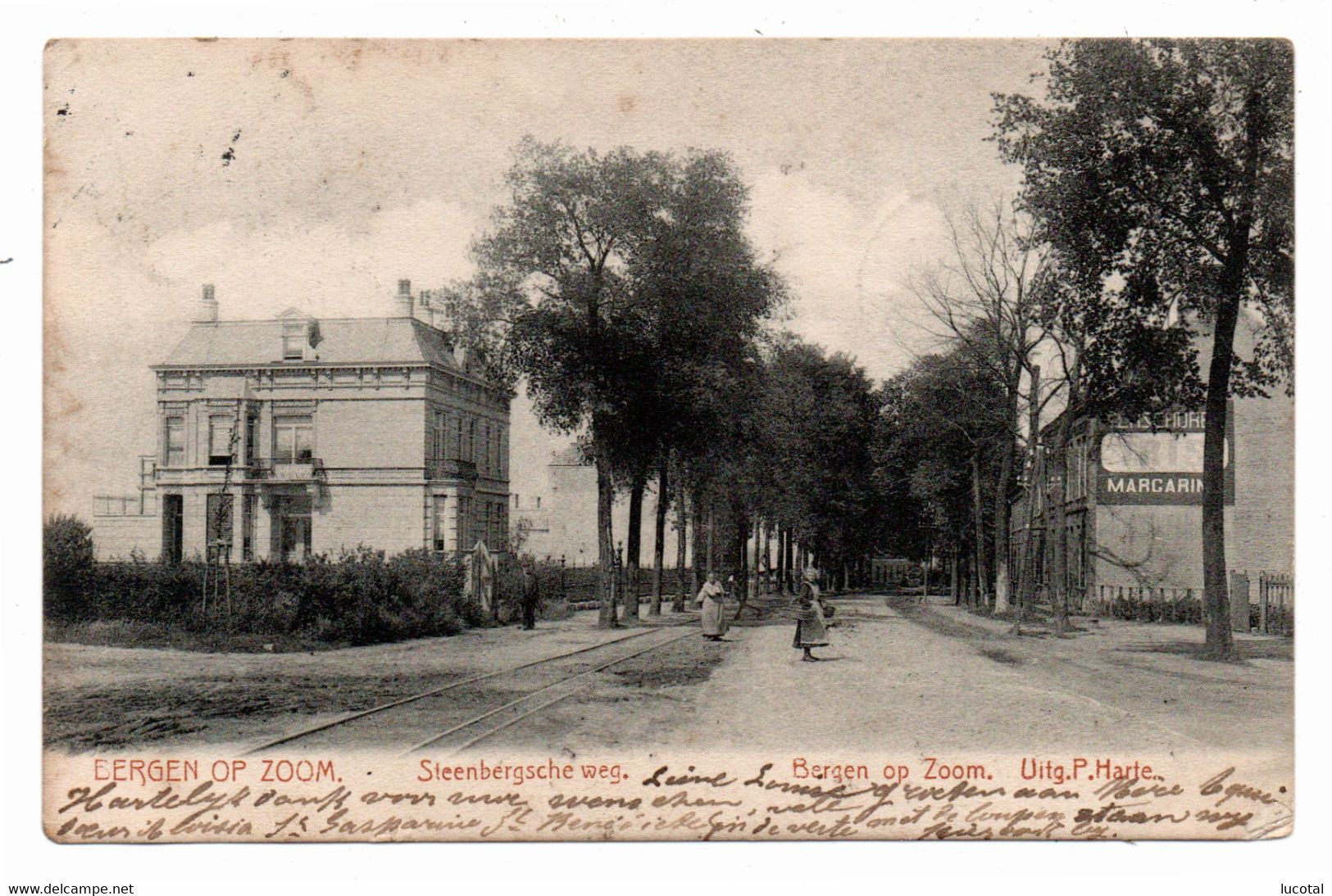 Bergen Op Zoom - Steenbergsche Weg - 1905 - Uitgever P. Harte - Bergen Op Zoom