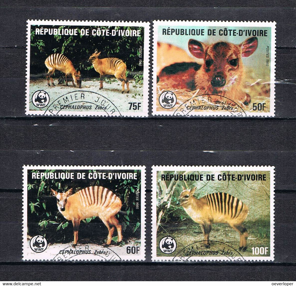 Ivory Coast WWF Antelope Used - Used Stamps