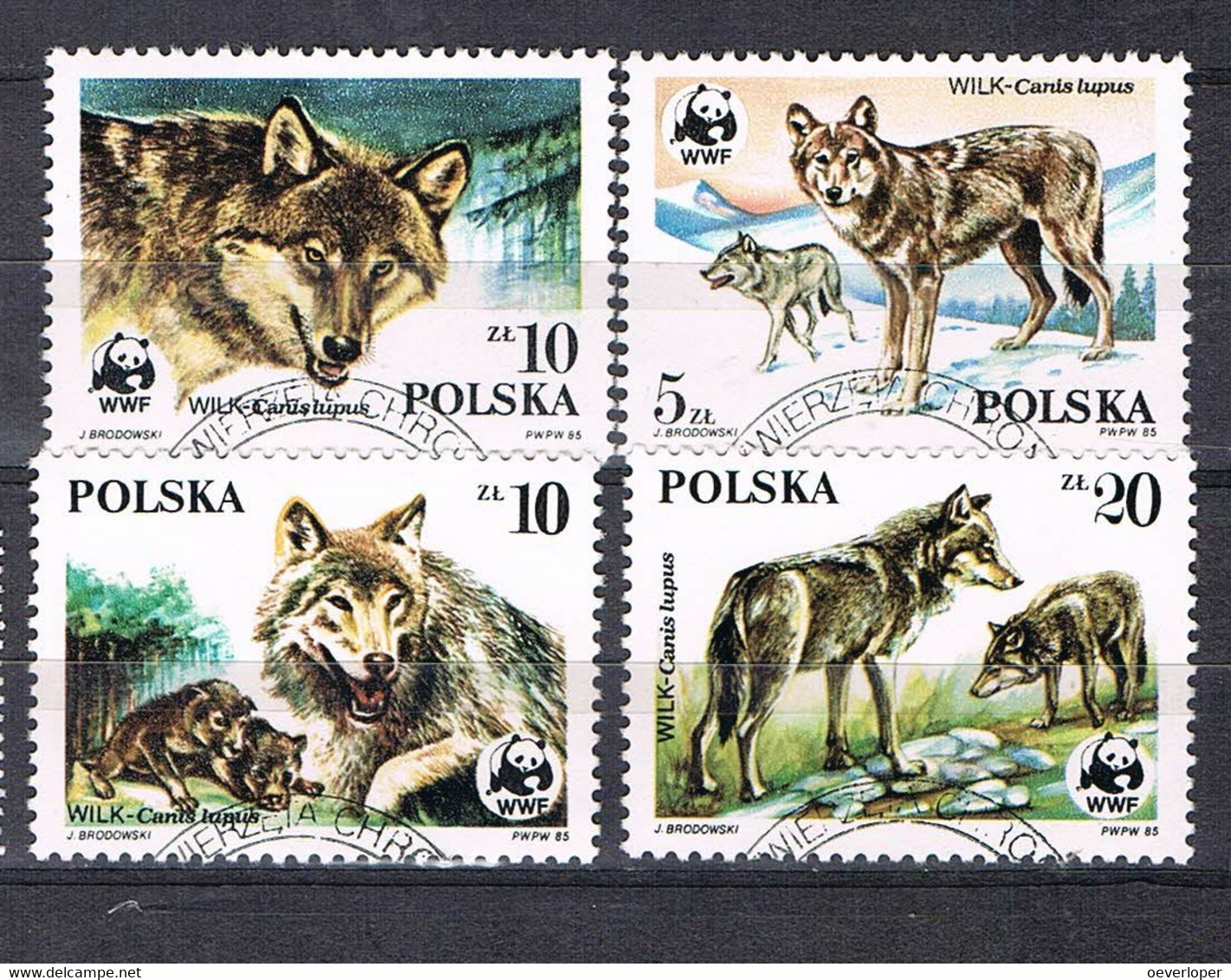 Poland Wolves 1985 WWF Used - Used Stamps