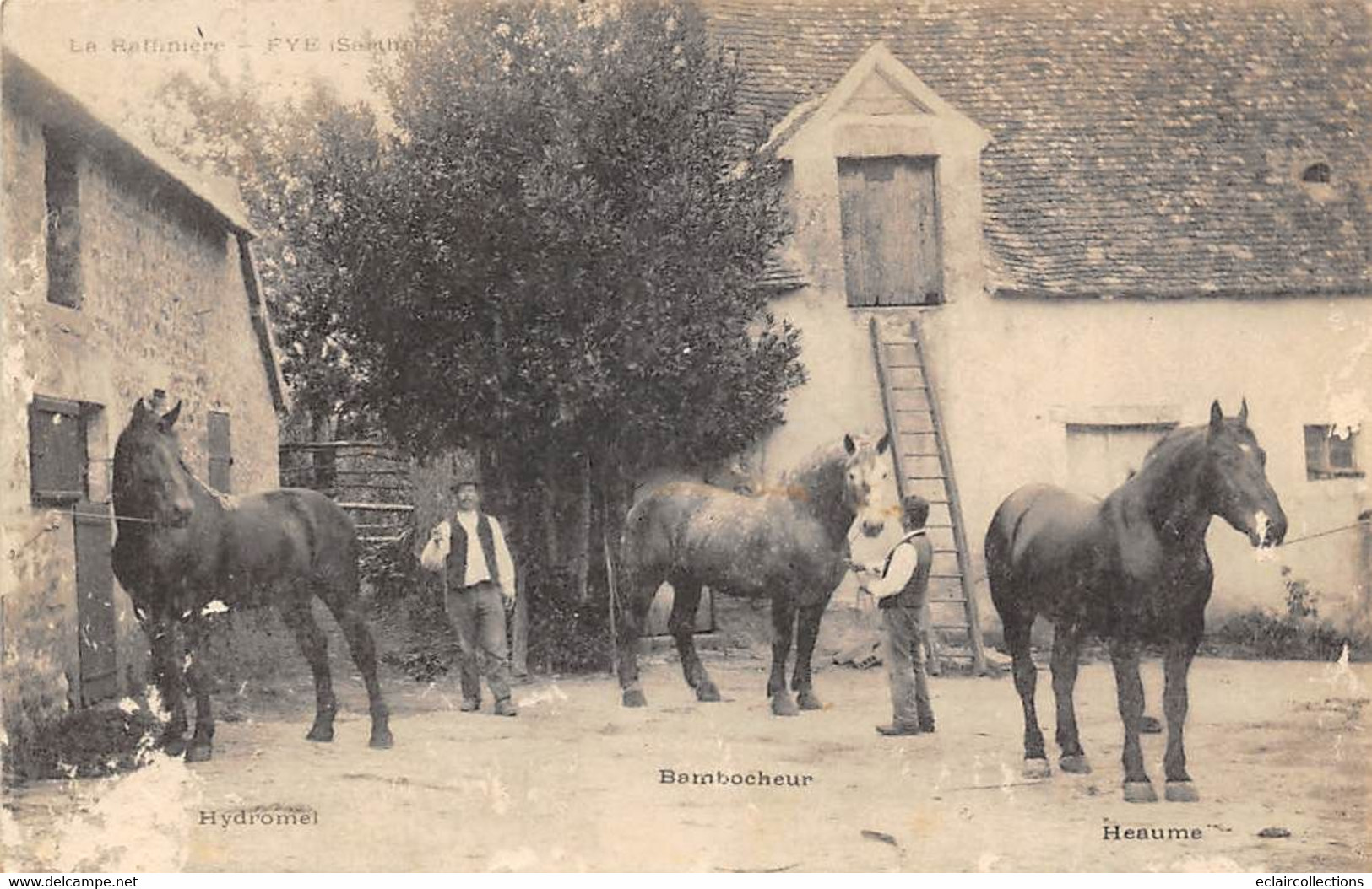 Fyé      72         La Raffinière  Elevage De Chevaux   Dont 3 Nommés     (voir Scan) - Sonstige & Ohne Zuordnung