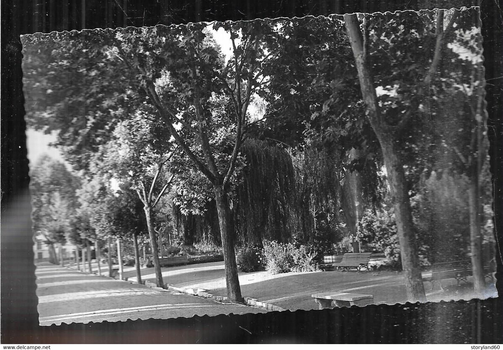 St005783 La Réunion Vers 1952 Jardin Public Non Situé Tampon - Autres & Non Classés