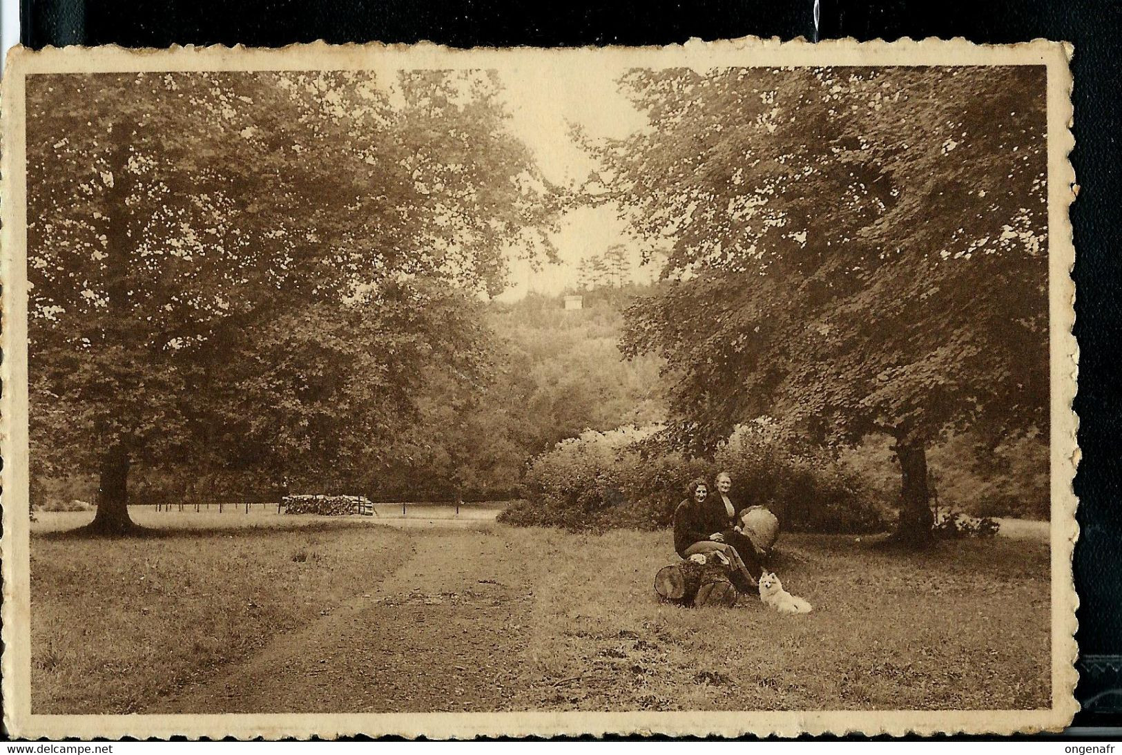 Carte-vue ( Couvin:Grand Hôtel St Roch) Obl. COUVIN  - Villégiature  14/06/1937 - Landpost (Ruralpost)