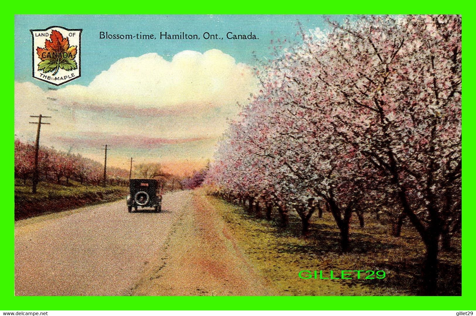 HAMILTON, ONTARIO - BLOSSOM-TIME - VINTAGE CAR - TRAVEL IN 1940 - THE POST CARD & GREETING CARD CO LTD - - Hamilton