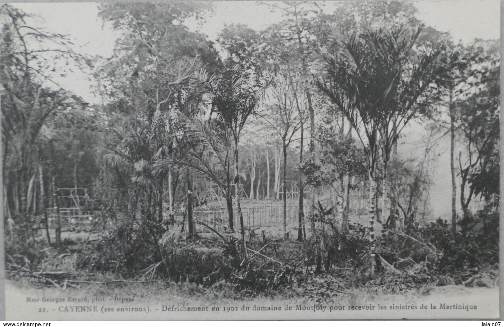 C. P. A. : GUYANE : CAYENNE Ses Environs) Défrichement En 1902 Du Domaine De MONTJOLY Pour Recevoir Sinistrés Martinique - Cayenne