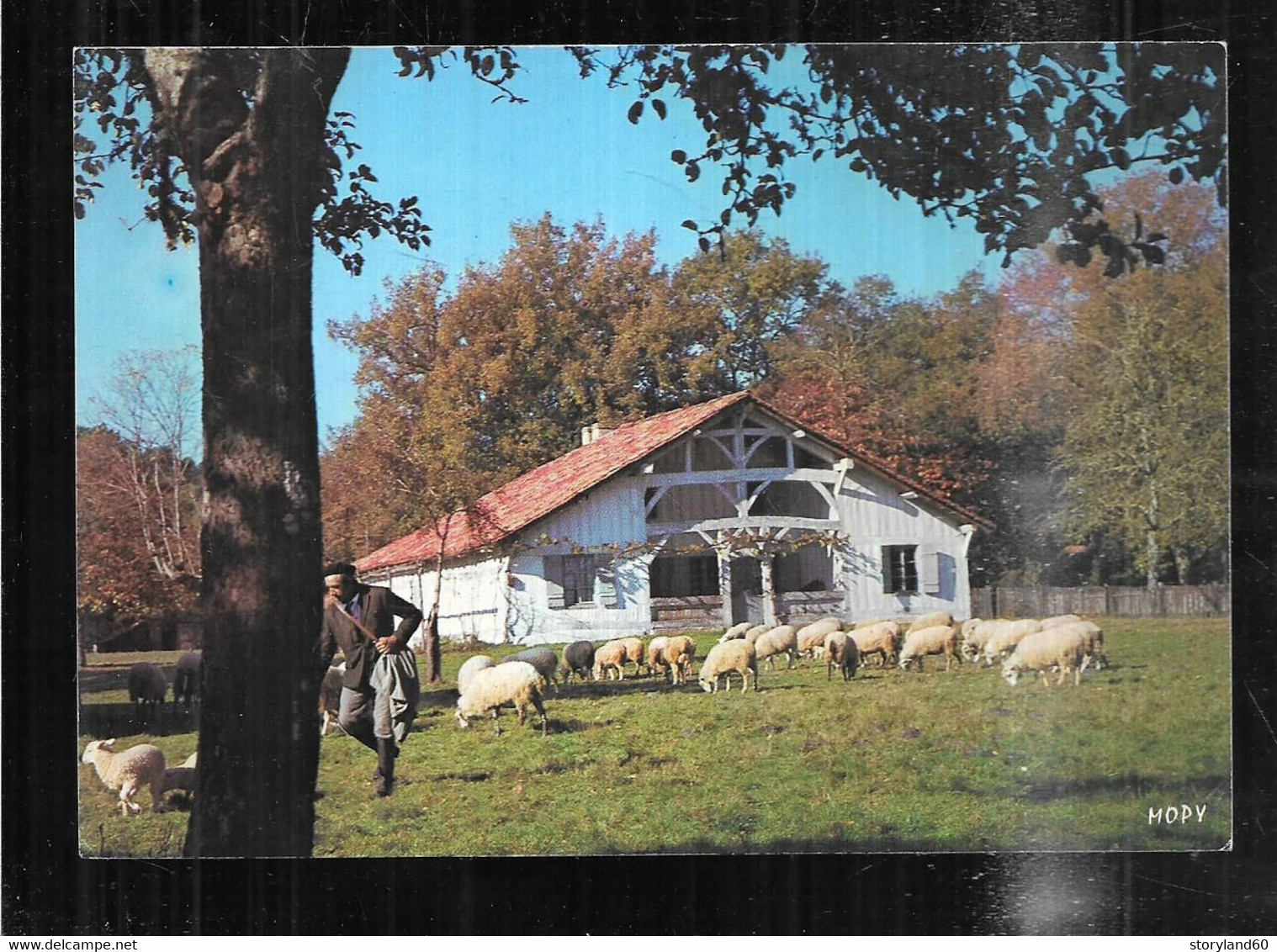 Cpm 4037353 La Maison Marqueze à Sabres Moutons - Sabres