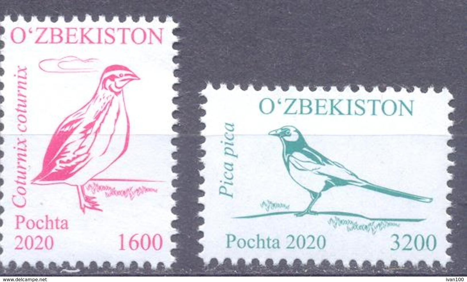 2020. Uzbekistan, Definitives, Birds, 2v, Mint/** - Uzbekistan