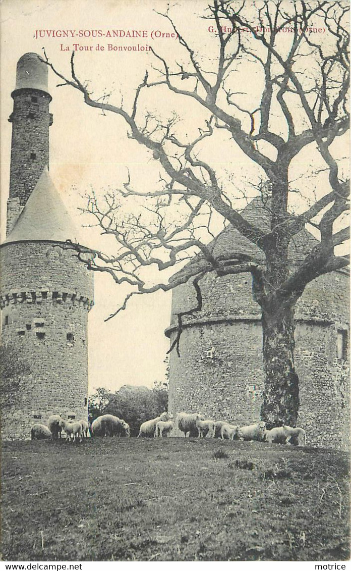 JUVIGNY SOUS ANDAINE - La Tour De Bonvouloir, Moutons. - Juvigny Sous Andaine