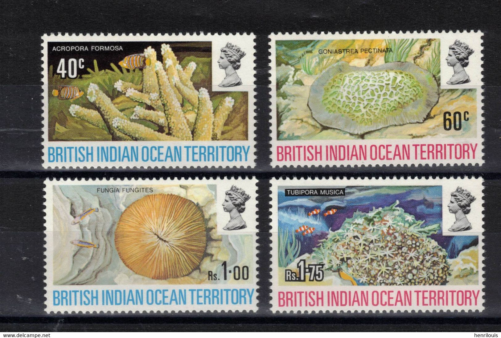 OCEAN INDIEN BRITANNIQUE - Timbres Neufs ** De 1972 ( Ref 2010 ) Aimaux  Marins - Coraux - Britisches Territorium Im Indischen Ozean