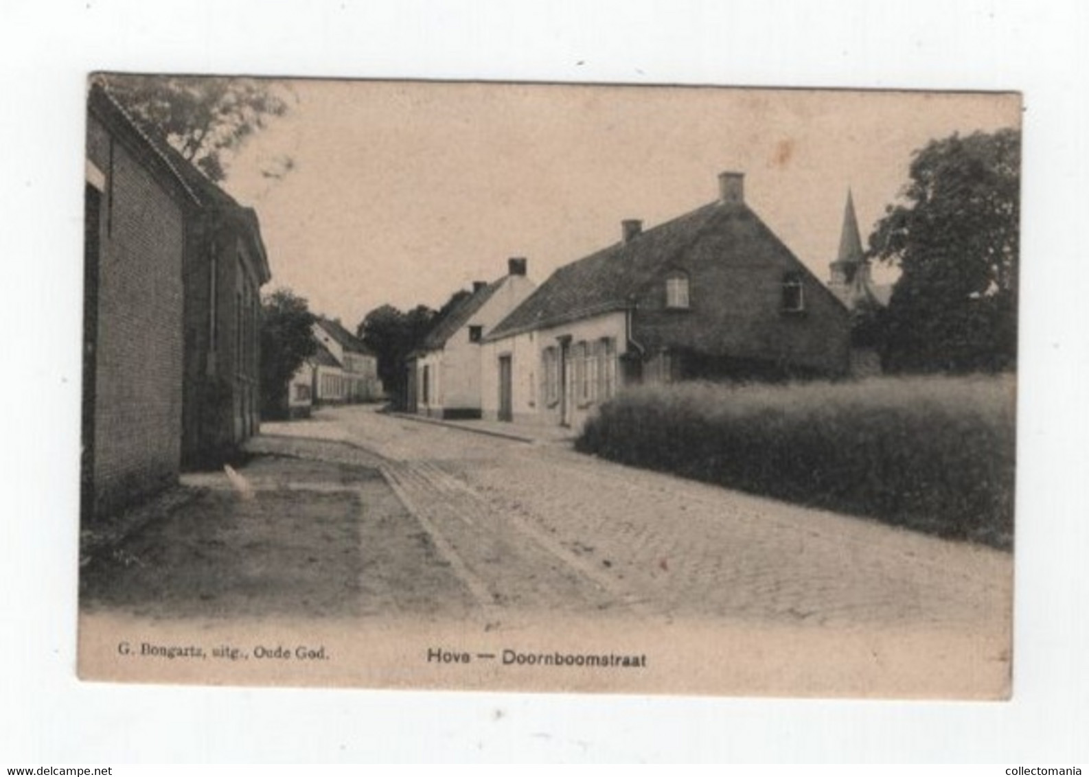 1 Oude Postkaart HOVE Doornboomstraat   Uitgever Bongartz - Hove