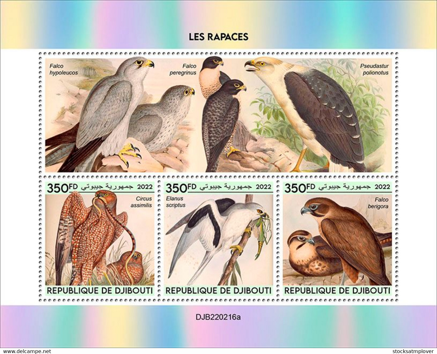 Djibouti 2022 Birds Of Prey S202210 - Djibouti (1977-...)