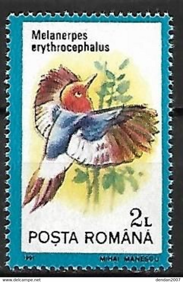 Romania - MNH ** 1991 :   Red-headed Woodpecker  -  Melanerpes Erythrocephalus - Spechten En Klimvogels