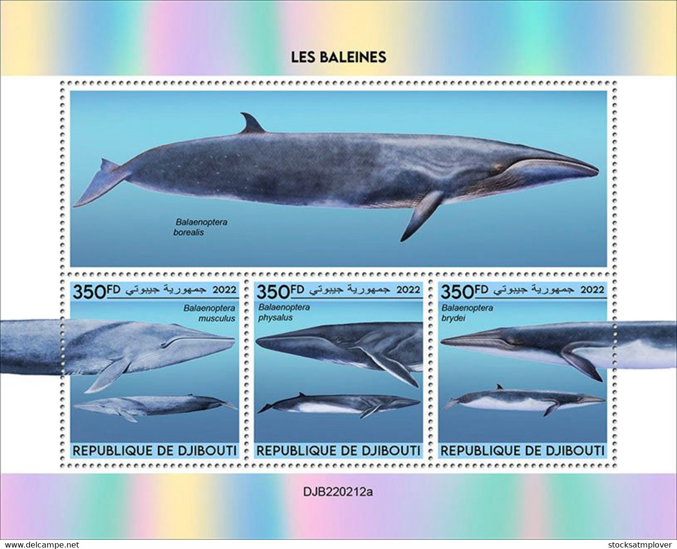 Djibouti 2022 Whales S202210 - Djibouti (1977-...)