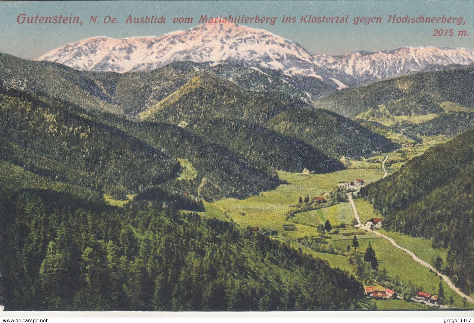 C2764) GUTENSTEIN - NÖ - Ausblick Vom Mariahilferberg Ins Klostertal Gegen Hochschneeberg 1925 - Gutenstein