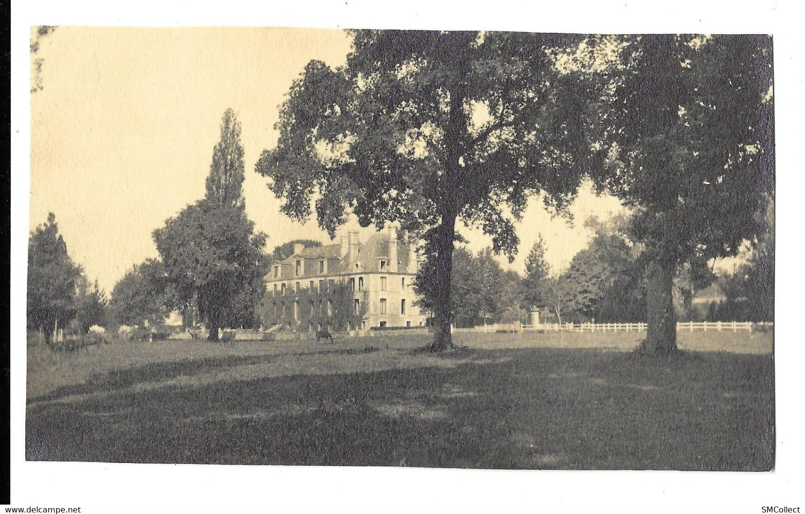 Coulonges, Chateau De La Roussière. Carte Photo Peut être Retaillée Ou Photo, Format 80 X 135 Mm (A15p71) - Coulonges-sur-l'Autize