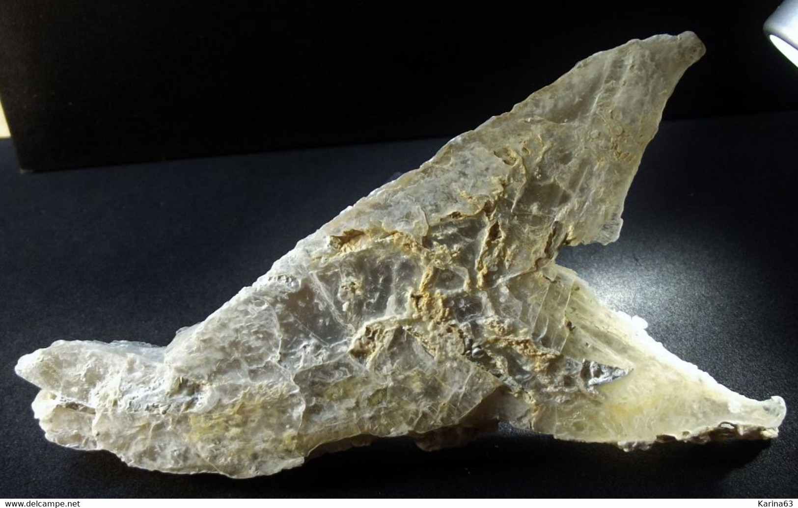 Gypsum ' Fer De Lance '  (12 X 5.5 X 1 Cm ) Old Gypsum Quarries - Meaux - Ile-de-France, France - Minéraux