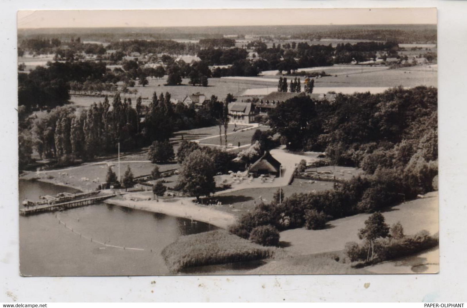 2903 BAD ZWISCHENAHN - BAD DREIBERGEN, Luftaufnahme, 50er Jahre - Bad Zwischenahn