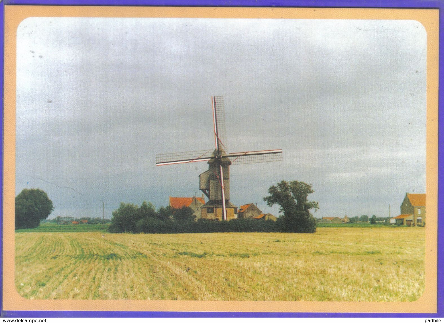 Carte Postale 59. Hondschoote  Le Moulin  Très Beau Plan - Hondshoote