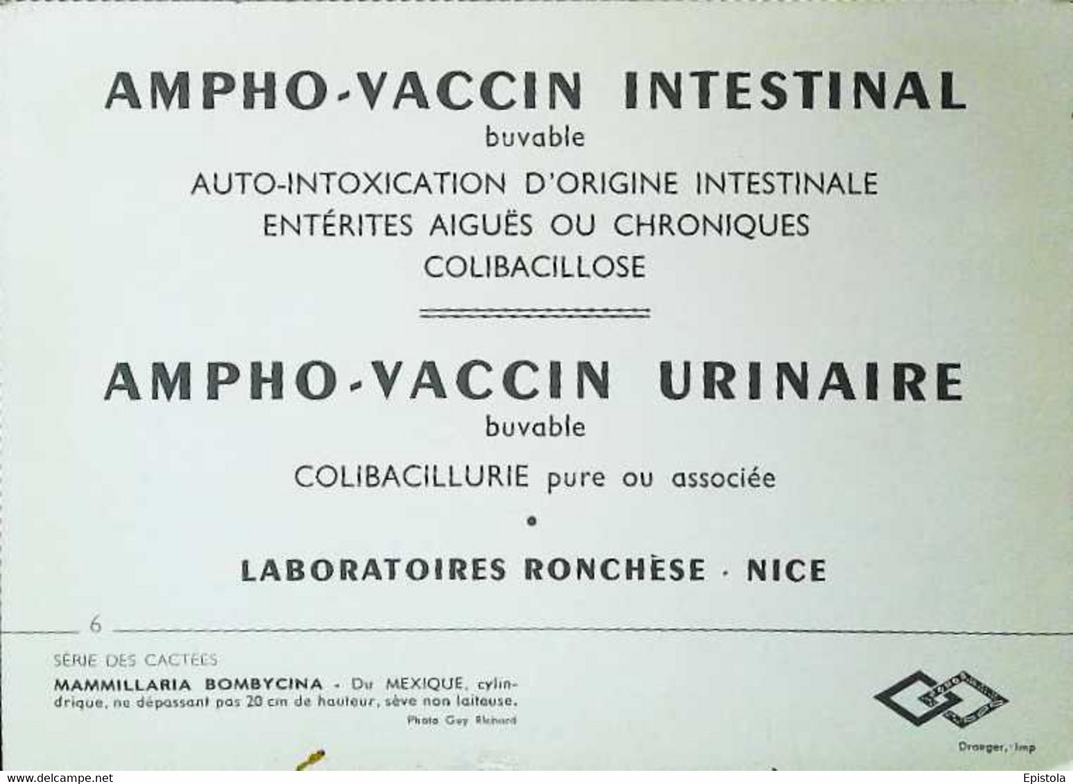 ►     Cactus   Publicité Produits   Pharmaceutiques Ampho-vaccin Laboratoire Ronchèse Nice - Cactus