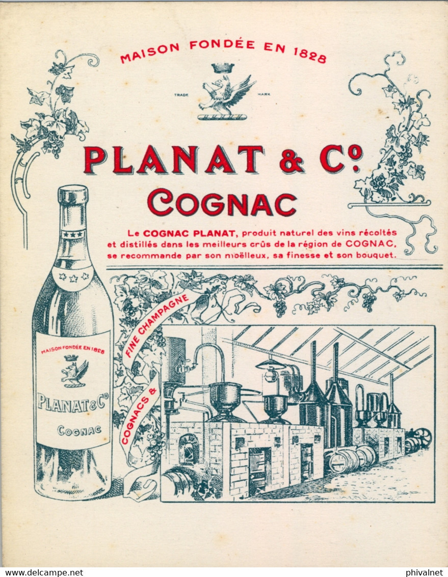 BEBIDAS / ETIQUETA - PLANAT & CO. COGNAC , FINE CHAMPAGNE , FORMATO : 105 X 135 - Alcoli E Liquori