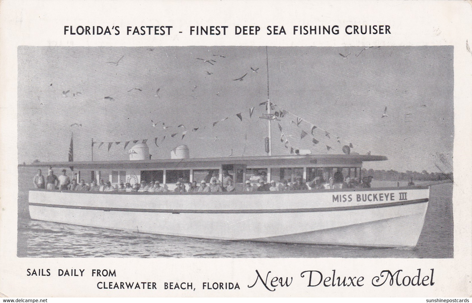 Florida Clearwater Beach Deep Sea Fishing Cruiser Miss Buckeye III - Clearwater