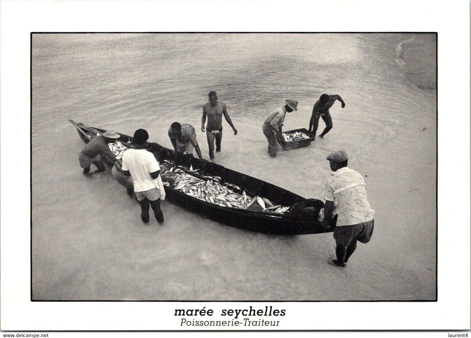 (3 N 38) Seychelles - Posted To France - B/w - Marée - Bâteau Et Poissons (fisherman & Fish Catch) Turtle Stamp - Seychelles