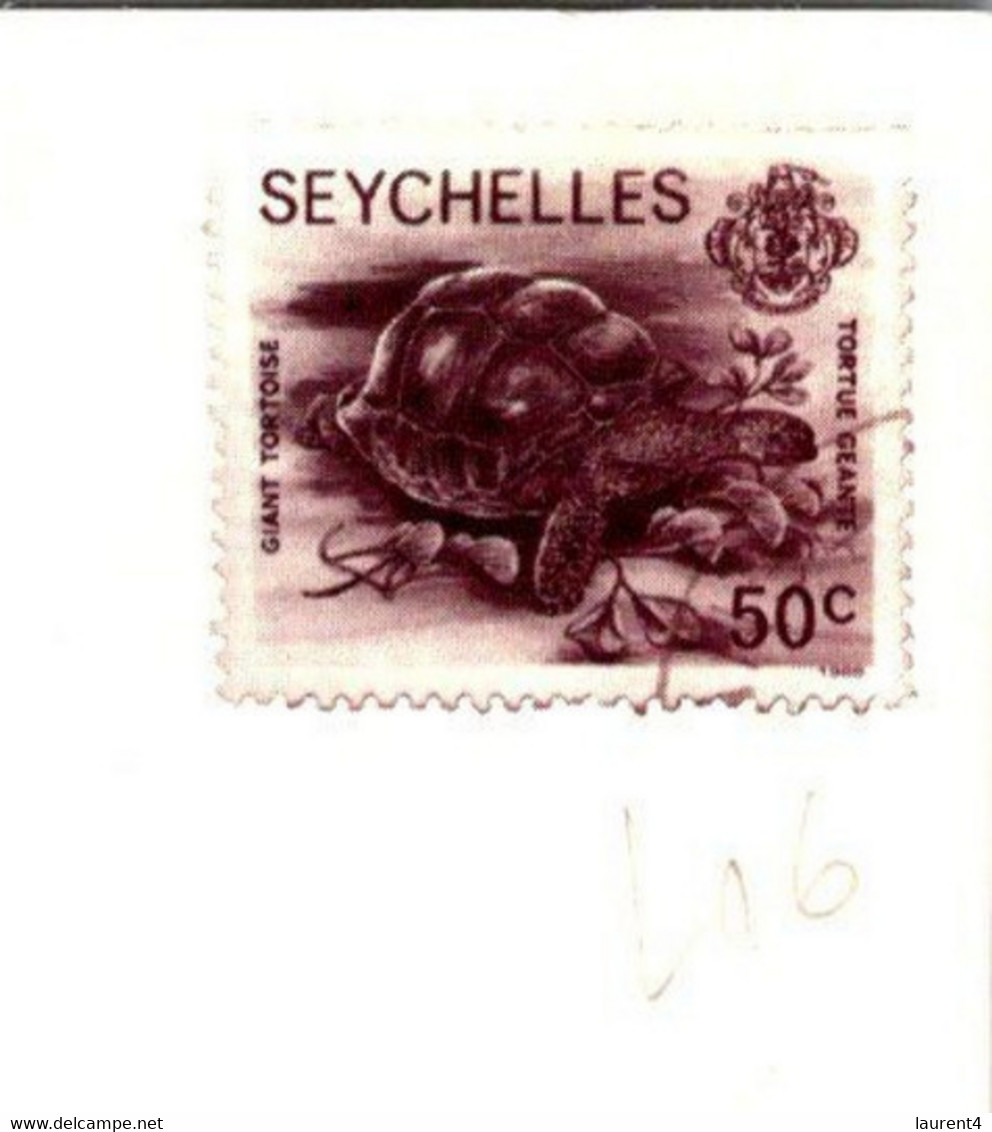 (3 N 38) Seychelles - Posted To France - B/w - Marée - Bâteau Et Poissons (fisherman & Fish Catch) Turtle Stamp - Seychelles