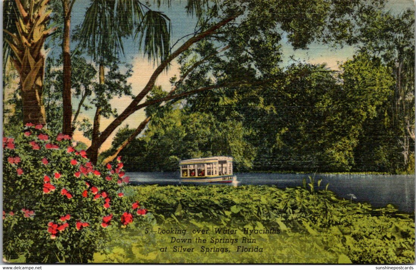 Florida Silver Springs Glass Bottom Boat On The Silver River Curteich - Silver Springs