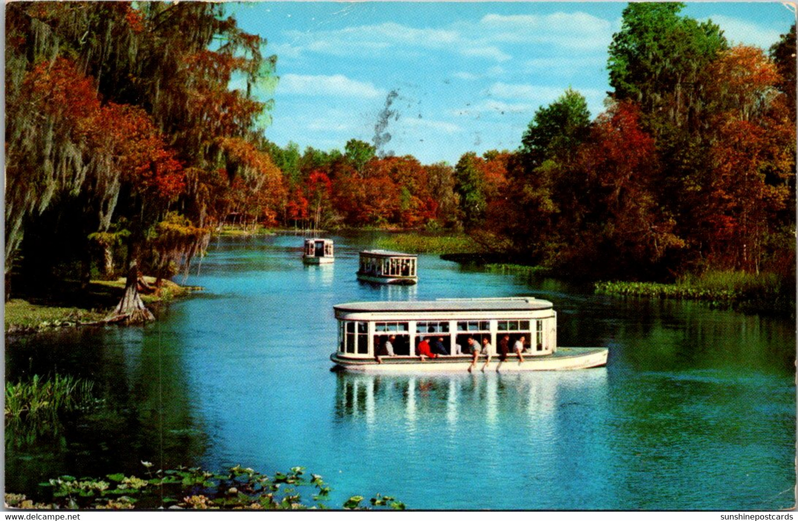 Florida Silver Springs Glass Bottom Boats On The Silver River 1958 - Silver Springs