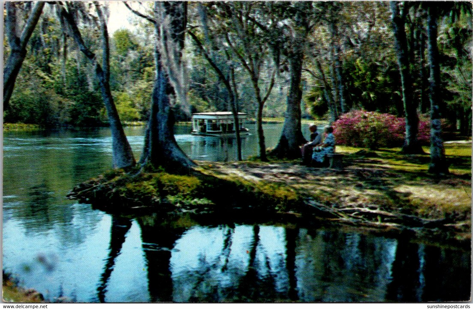 Florida Silver Springs Glass Bottom Boat On The Silver River 1976 - Silver Springs