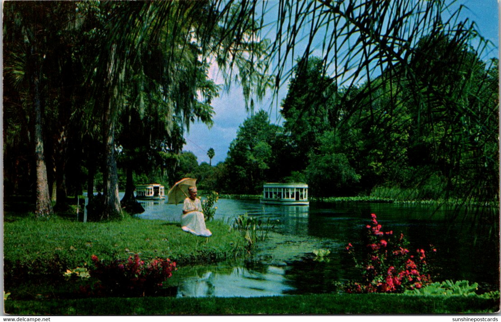 Florida Silver Springs Beautiful Model On Shoreline Along Silver River - Silver Springs