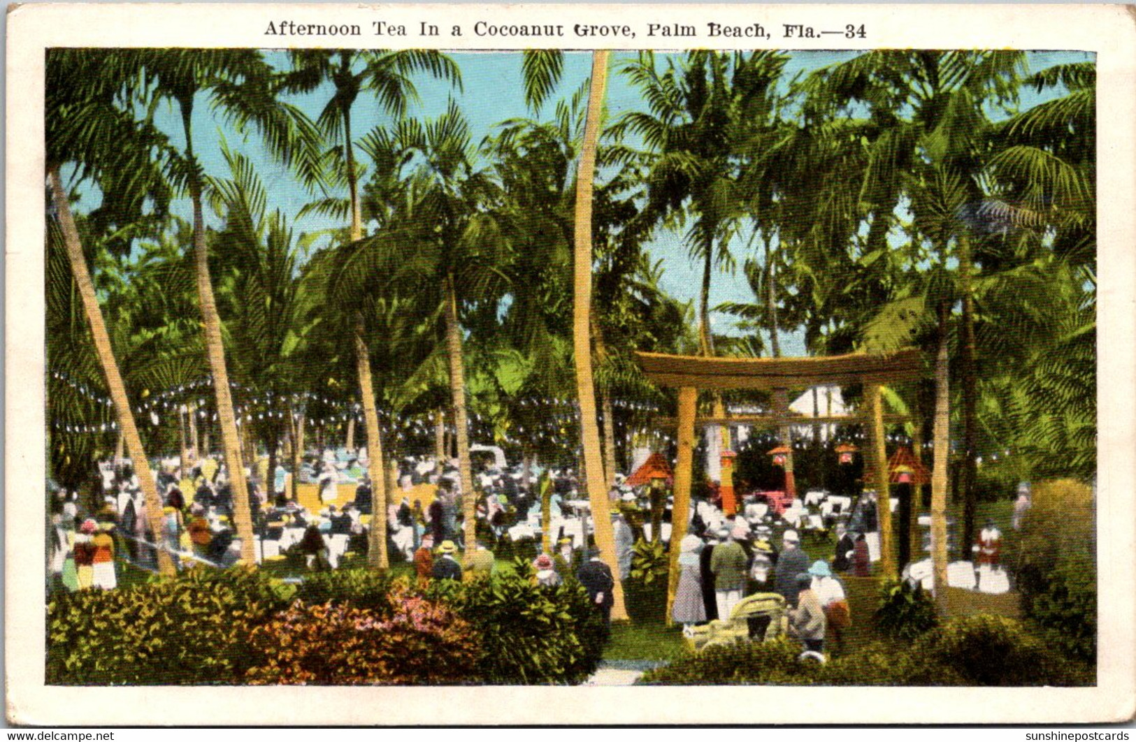 Florida Palm Beach Afternoon Tea In A Cocoanut Grove 1924 - Palm Beach