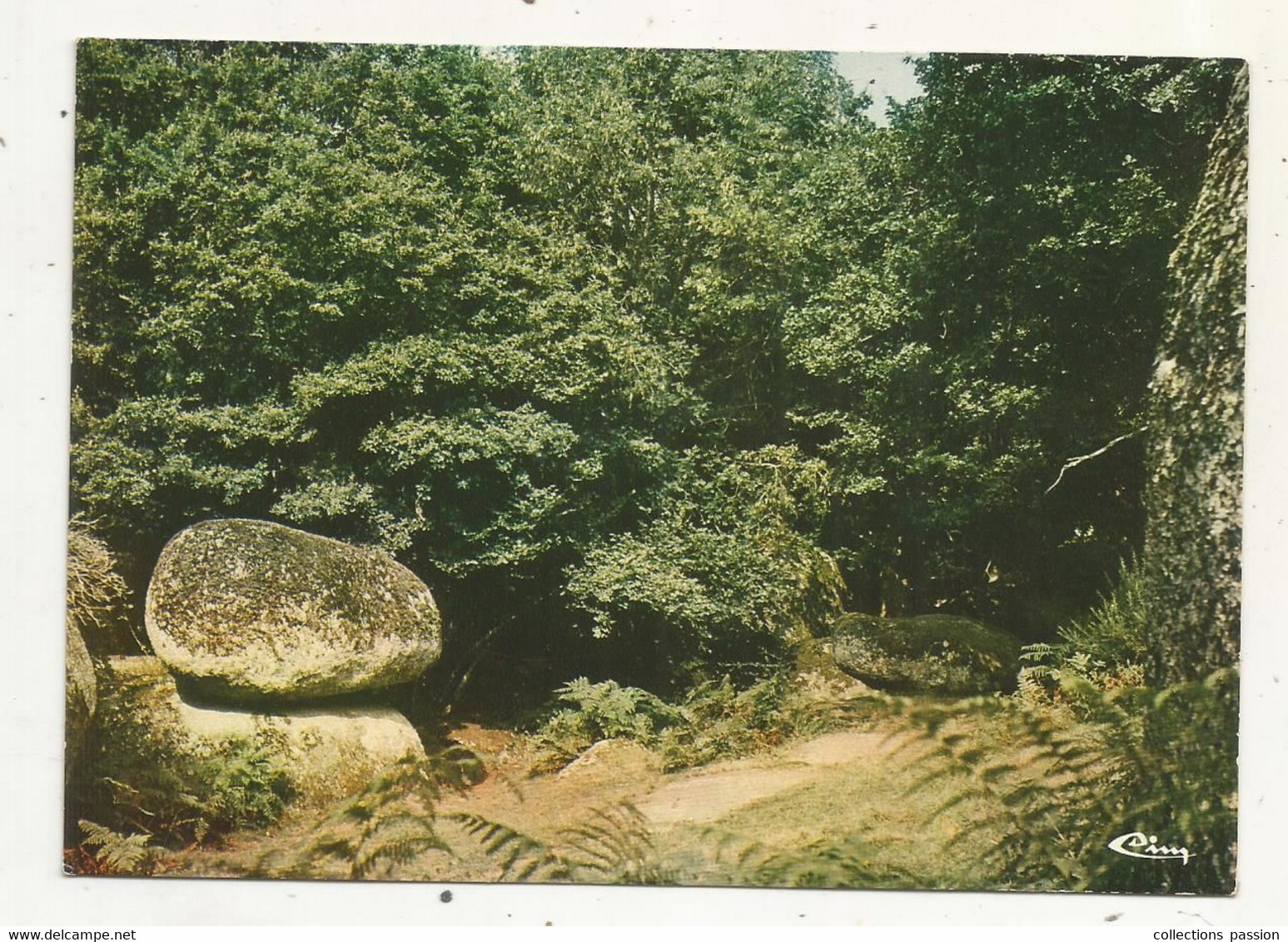 Cp, 79, L'ABSIE,  Le Rocher Branlant à La Chapelle SEGUIN,  Vierge,  Ed. Combier - L'Absie