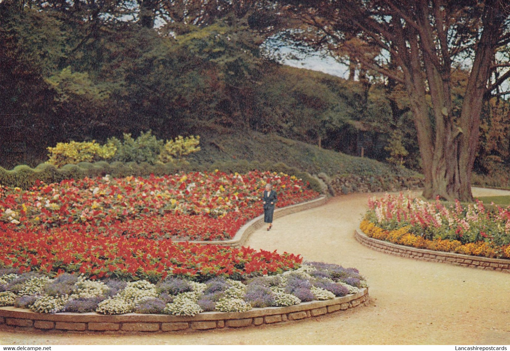 Postcard Ventnor The Park Isle Of Wight My Ref B26067 - Ventnor