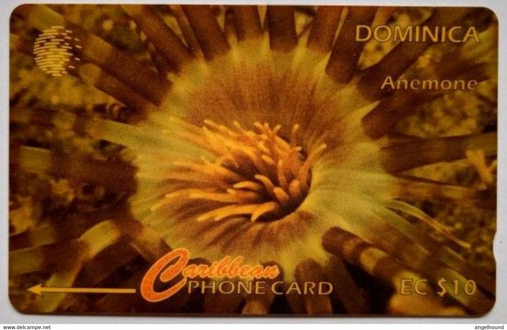 Dominica CW 9CDMA  EC$10 "  Anemone " - Dominique