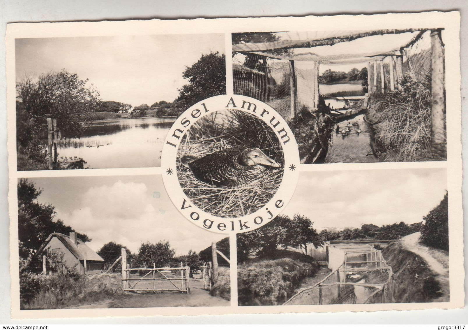 C2935) Insel AMRUM - VOGELKOJE - Alt ! - Nordfriesland