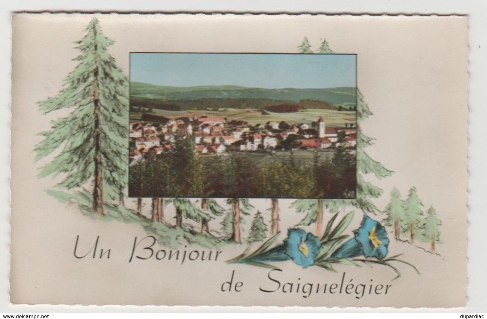 Suisse / Jura / Un Bonjour De SAIGNELEGIER. - Saignelégier