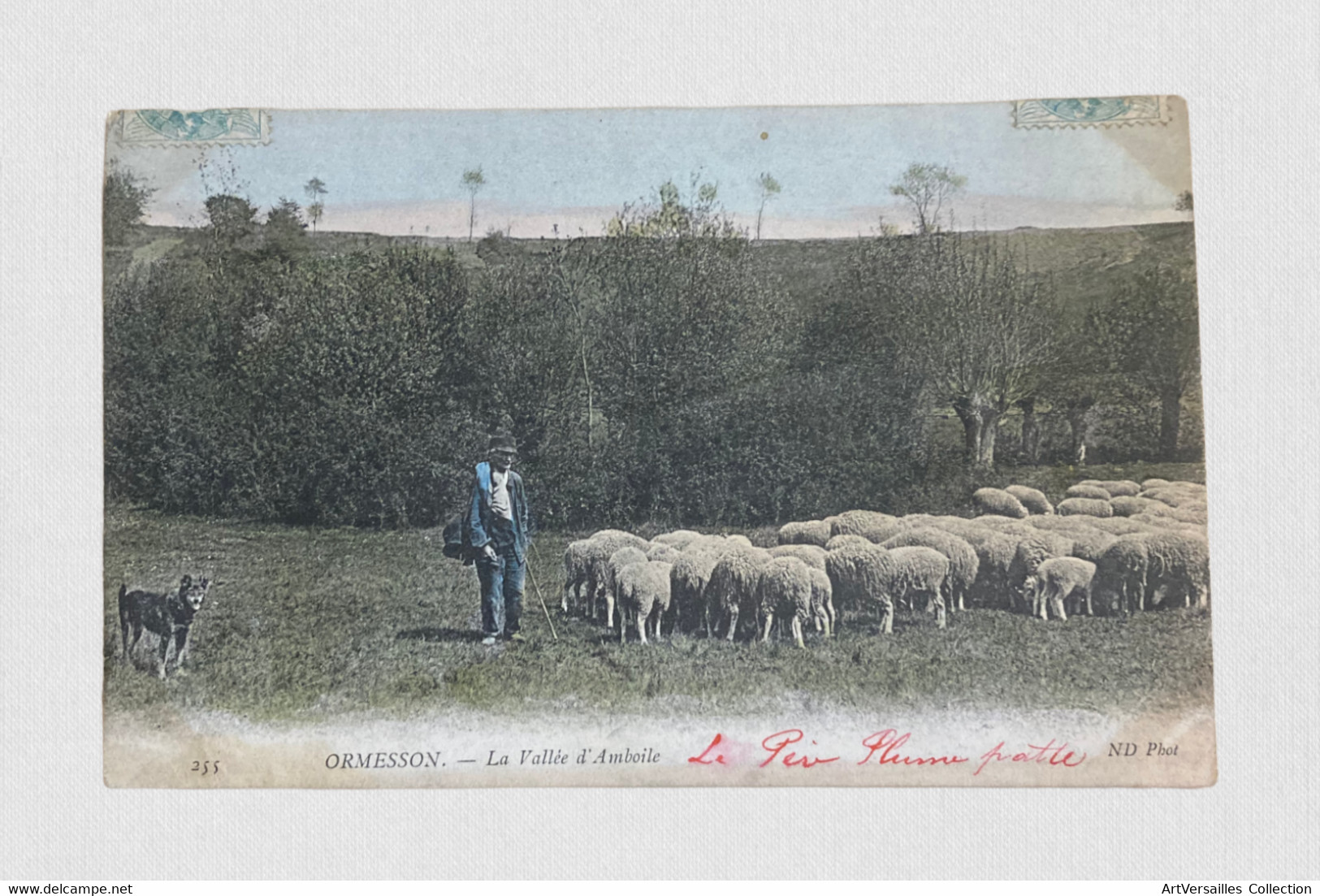 CPA Ormesson Sur Marne - Berger Et Ses Moutons. "le Père Plume Patte" Colorisée Voyagée 1905 - Ormesson Sur Marne